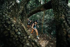 BIB: 
                            <button type="button" onclick="openModal(25391943)" class="btn btn-primary btn-sm float-right btn-popup" data-toggle="modal" data-target=".modal-high-quality">
                        <i class="fas fa-shopping-cart"></i> Add to Cart
                    </button>
                                            <button type="button" onclick="isThisMe(25391943, true)" class="btn btn-success btn-sm float-right btn-popup btn-isme hidden" data-toggle="tooltip" data-placement="bottom" title="นี่คือรูปของคุณใช่ไหม คลิกที่นี่เพื่อเอาเข้าอัลบั้ม">
                        <i class="fas fa-plus"></i> Add to album
                    </button>
                    <button type="button" onclick="isThisMe(25391943, false)" class="btn btn-warning btn-sm float-right btn-popup btn-isnotme hidden">
                        <i class="fas fa-ban"></i> Remove from album
                    </button>